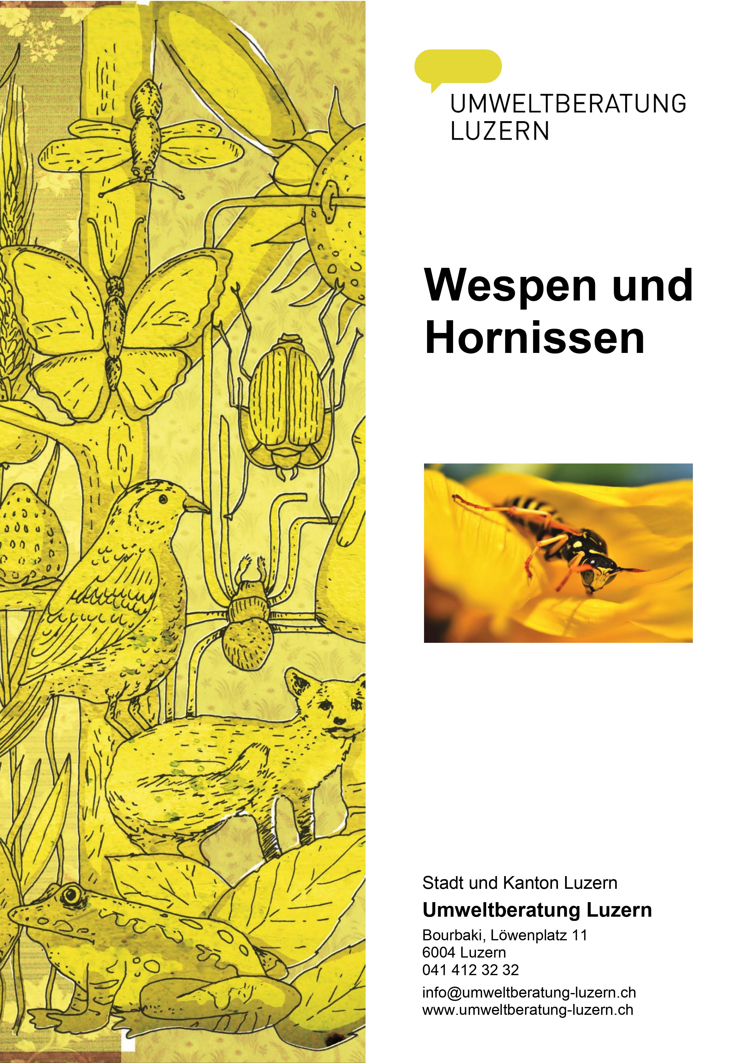 Stichwortbroschüre Wespen und Hornissen