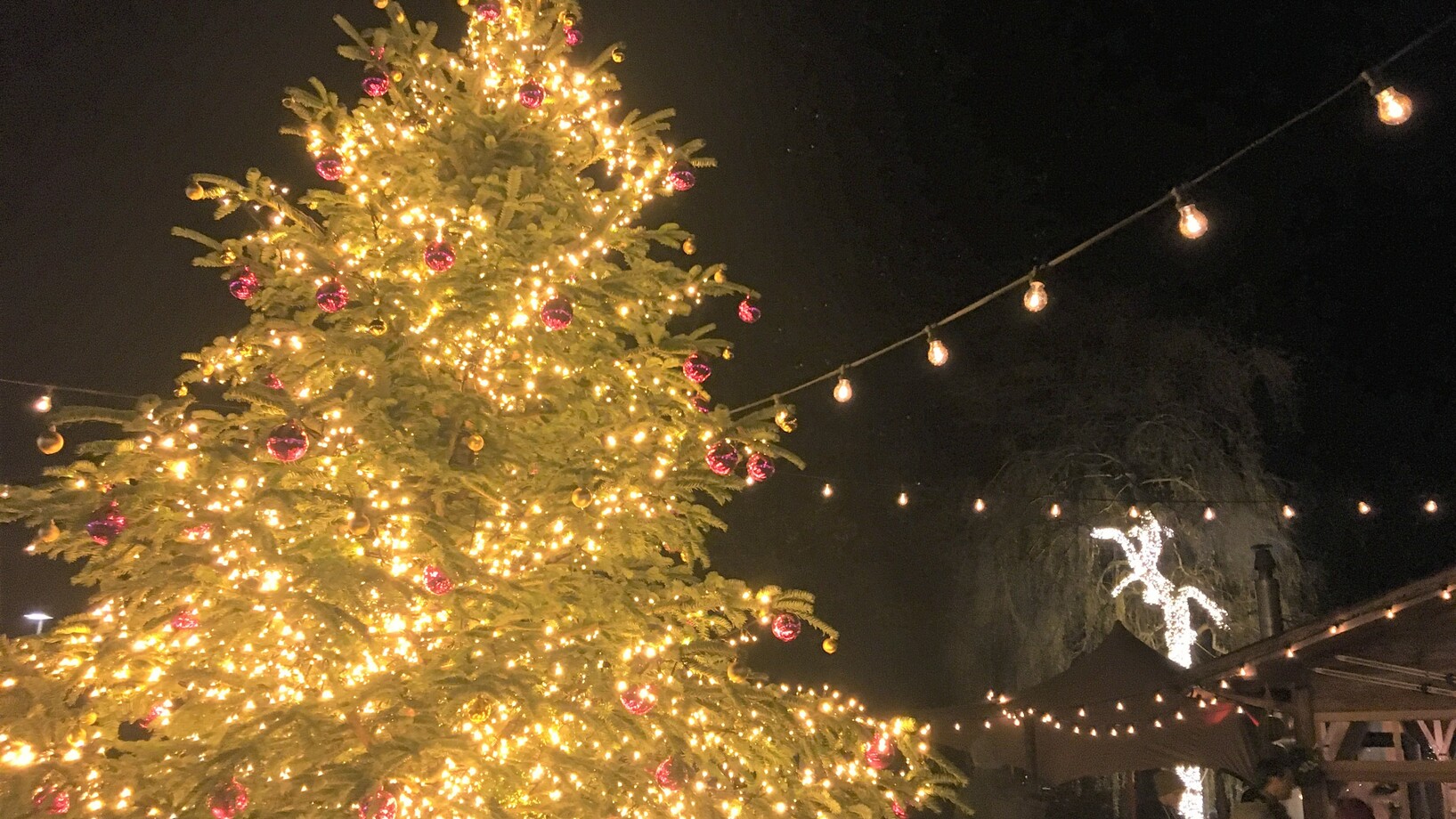 Intensive Weihnachtsbeleuchtung auf dem Inseli, Luzern