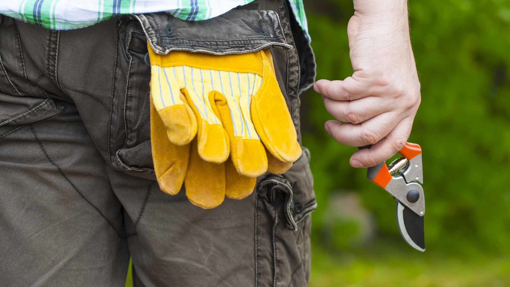 Mann mit gelben Handschuhen in den Gesässhosentaschen, in der Hand eine Baumschere